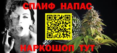 МДПВ Кингисепп