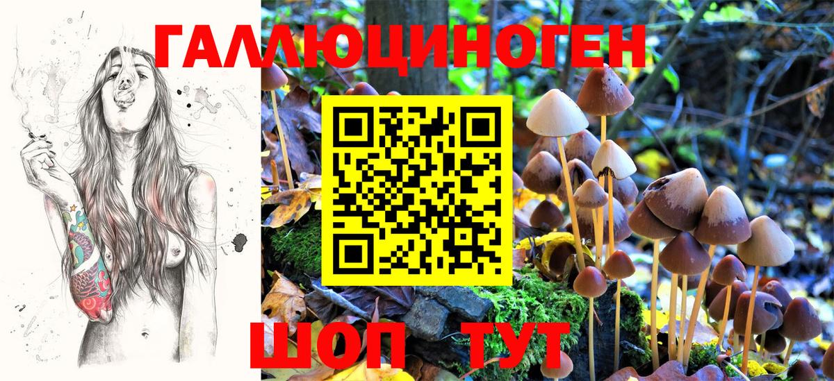 Галлюциногенные грибы ЛСД Юрга