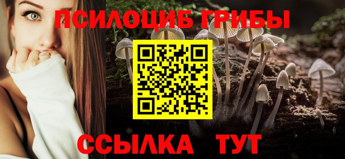 Псилоцибиновые грибы MAGIC MUSHROOMS  Вход с VPN  Юрга  где продают наркотики  Галлюциногенные грибы ЛСД 
